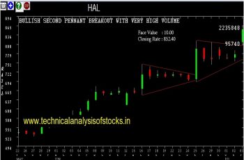 hal share price