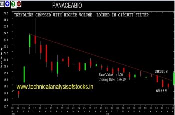 panaceabio share price