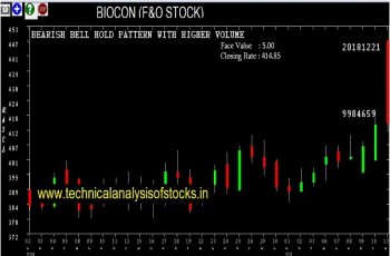 biocon share price history