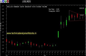 jublinds share price