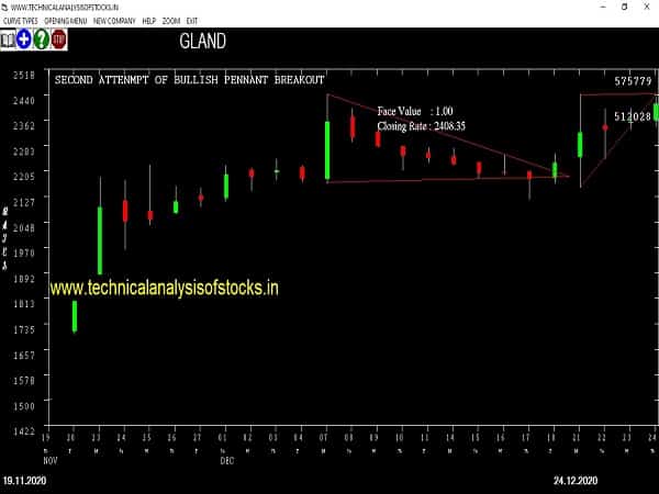 gland share price