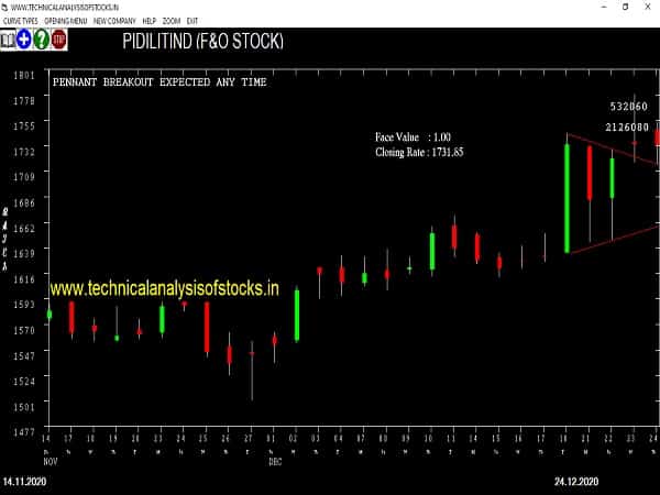 pidilitind share price