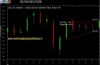 voltas share price