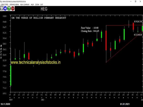 heg share price