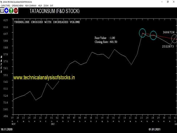 tataconsum share price