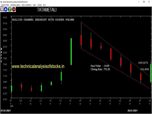 tatametali share price