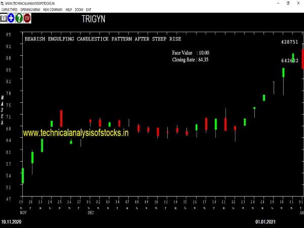 trigyn share price