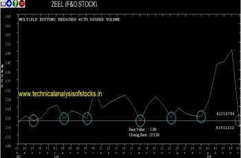 zeel share price