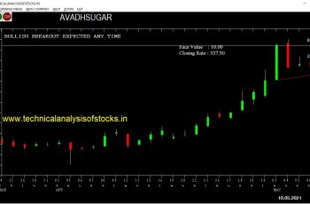 buy avadhsugar